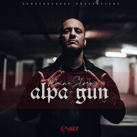 Meine Story (100 Bars) - Alpa Gun