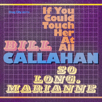 If You Could Touch Her at All - Bill Callahan
