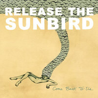 It's All Around You - Release The Sunbird