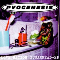 Silver Experience - Pyogenesis