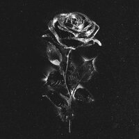 Чёрные розы - Maryana Ro