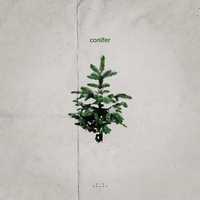 Conifer - Matt Van