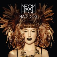 Bad Dog - Neon Hitch, DiscoTech