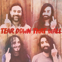 Tear Down That Wall - The Bright Light Social Hour