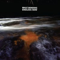 Bones - Male Bonding