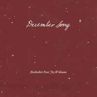 December Song - Birdtalker, Joy Williams