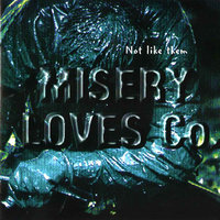 Not The Only One - Misery Loves Co.
