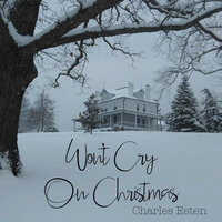 Won't Cry on Christmas - Charles Esten