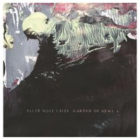 Beach - Peter Wolf Crier
