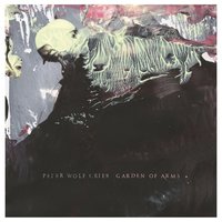 Settling It Off - Peter Wolf Crier