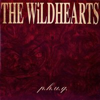 Friend for Five MInutes - The Wildhearts