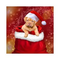 You'd Better Not Pout! - Deep Relaxation Meditation Academy, Xmas Collective, Christmas Pianobar, Deep Relaxation Meditation Academy, Xmas Collective