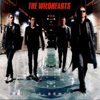 Why You Lie - The Wildhearts
