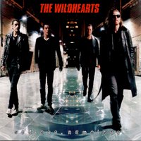 Nurse Maximum - The Wildhearts