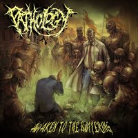 Dissected By Righteousness - Pathology