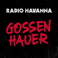 Schöner fremder Mann - Radio Havanna, Der Wahnsinn