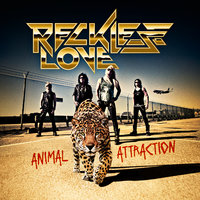 Animal Attraction - Reckless Love