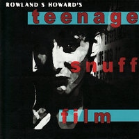 Autoluminescent - Rowland S. Howard