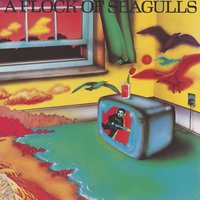 Messages - A Flock Of Seagulls