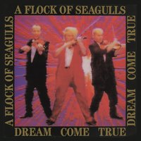 Whole Lot Of Loving - A Flock Of Seagulls