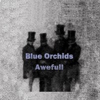Work - Blue Orchids