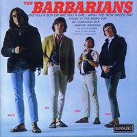 What The New Breed Say - The Barbarians