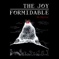 It's Over - The Joy Formidable