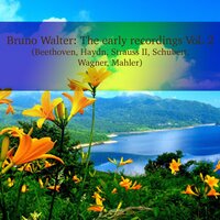 Kindertotenlieder: In diesem Wetter, in diesem Braus - Bruno Walter, Wiener Philharmoniker, Kathleen Ferrier
