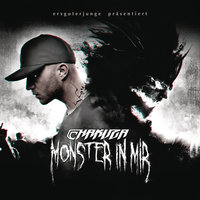 Monster - Chakuza, Konshens