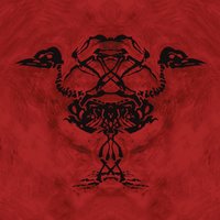 Kuu Saa Valtansa Auringolta - Mokoma