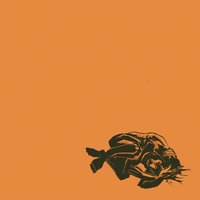 Sarvipää - Mokoma