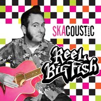 Another FU Song - Reel Big Fish