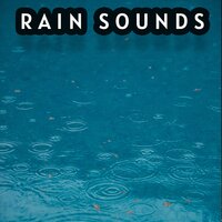 Relaxing and Quiet Rain Sound To help you sleep and Relief Stress - Nature Sounds, Relaxing Rain Sounds, Deep Sleep for Babies