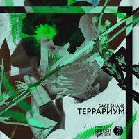 Террариум - Sace Snake