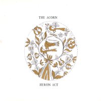 Flood Pt. 2 - The Acorn
