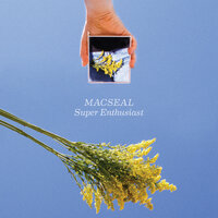 Upside Down Again - Macseal