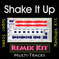 Shake It Up - REMIX Kit