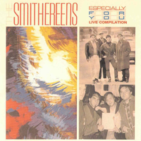 Groovy Tuesday (The Coach House - San Juan Capistrano, CA 6/88) - The Smithereens