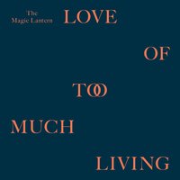 28 Years Old - The Magic Lantern