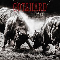 No Time to Cry - Gotthard