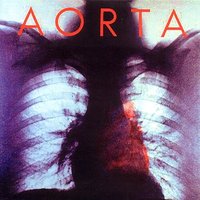Magic Bed - Aorta