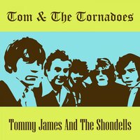 I Like the Way - Tommy James