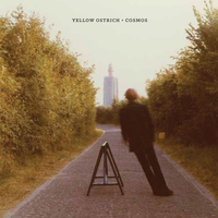 Terrors - Yellow Ostrich