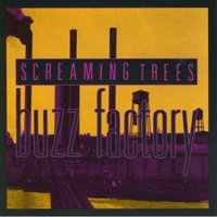 The Looking Glass Cracked - Screaming Trees