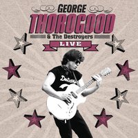 Reelin' & Rockin' - George Thorogood, The Destroyers