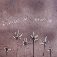 Reveries - Radical Face