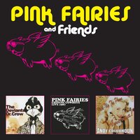 Waiting for the Ice Cream to Melt - Pink Fairies