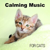 Cats Lullaby - Keep Calm Music Collection