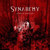 Perfect Enemy - Synarchy