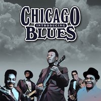 Check up on My Baby Blues - Sonny Boy Williamson